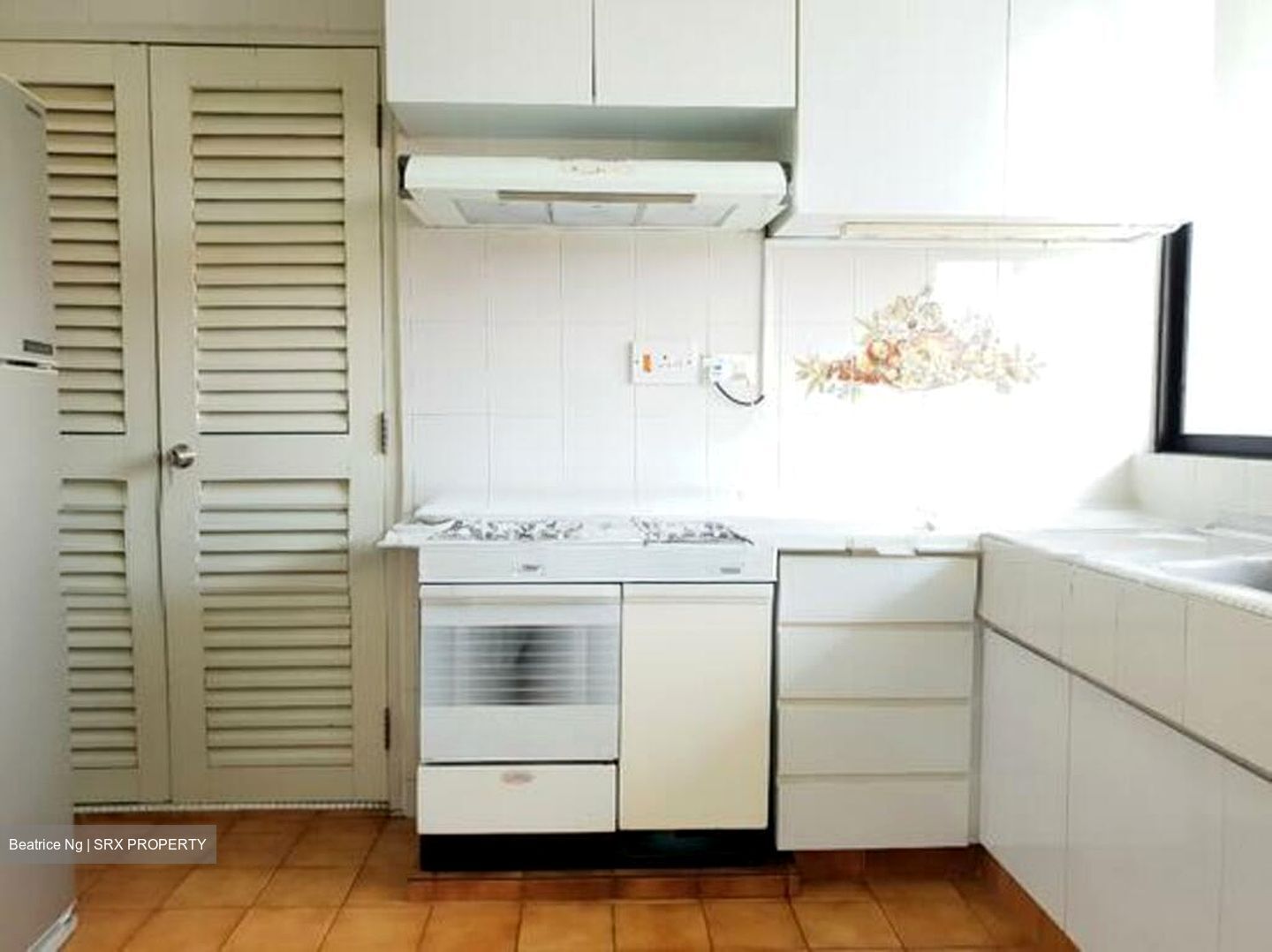 Mount Rosie Garden (D11), Condominium #519515011
